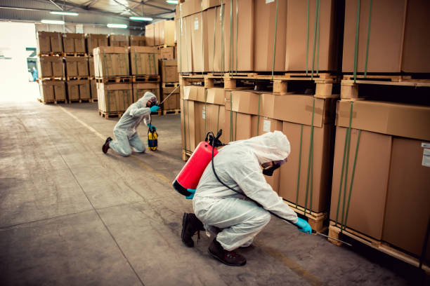 Best Flea Control Services  in Pharr, TX