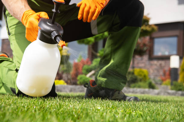 Professional Pest Control in Pharr, TX