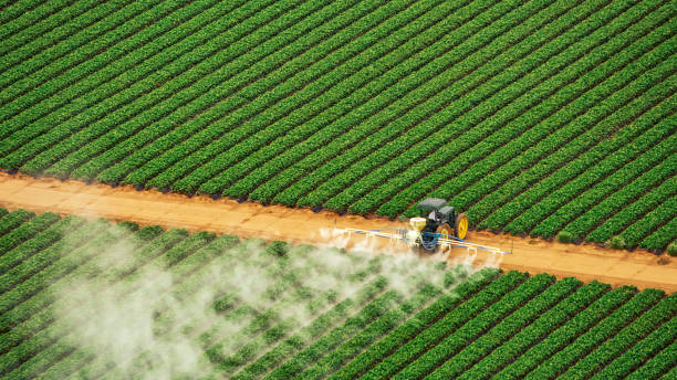 Best Pest Inspection Near Me  in Pharr, TX
