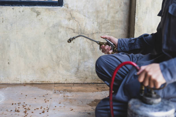 Best Exterminator Services  in Pharr, TX